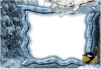 범주에서의 사진 효과 겨울 № 65559