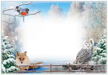 범주에서의 사진 효과 겨울 № 67043