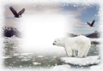 범주에서의 사진 효과 겨울 № 67044