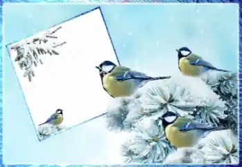 범주에서의 사진 효과 겨울 № 87962 범주에서의 사진 효과 겨울 № 87962