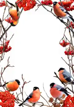 범주에서의 사진 효과 겨울 № 90578 범주에서의 사진 효과 겨울 № 90578