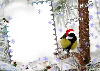 범주에서의 사진 효과 겨울 № 974