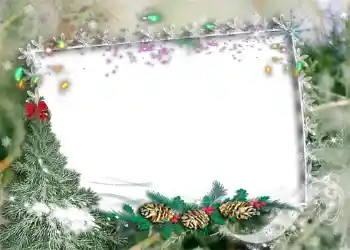 범주에서의 사진 효과 겨울 № 975