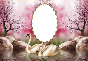 범주에서의 사진 효과 웨딩 프레임 № 121126 범주에서의 사진 효과 웨딩 프레임 № 121126