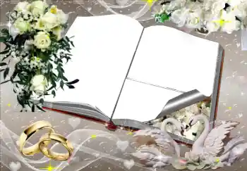 범주에서의 사진 효과 웨딩 프레임 № 2777