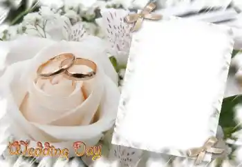 범주에서의 사진 효과 웨딩 프레임 № 31729. 프레임에 비문: Wedding Day