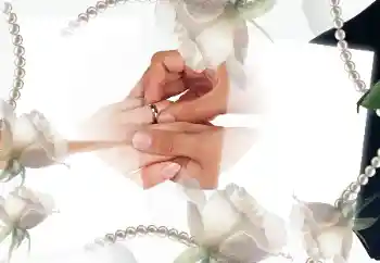 범주에서의 사진 효과 웨딩 프레임 № 33954