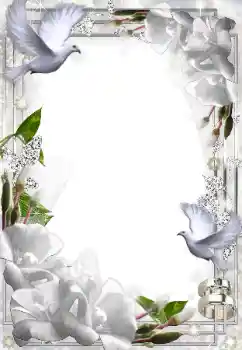 범주에서의 사진 효과 웨딩 프레임 № 49574