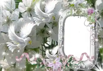 범주에서의 사진 효과 웨딩 프레임 № 50686