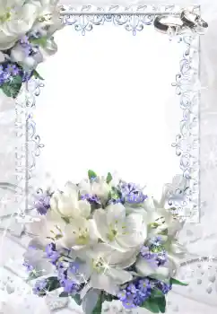 범주에서의 사진 효과 웨딩 프레임 № 52201 범주에서의 사진 효과 웨딩 프레임 № 52201