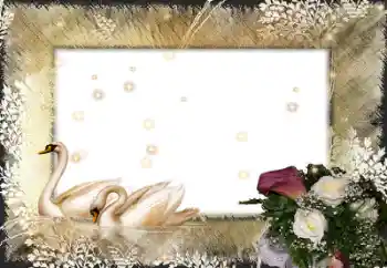 범주에서의 사진 효과 웨딩 프레임 № 58998