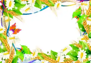 범주에서의 사진 효과 여성 프레임 № 101135