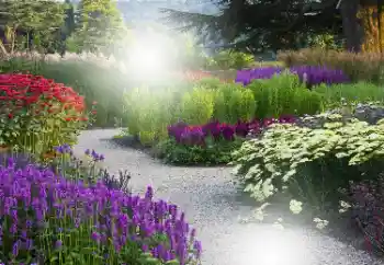 범주에서의 사진 효과 여성 프레임 № 101176