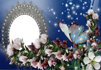 범주에서의 사진 효과 여성 프레임 № 101469