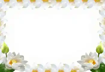 범주에서의 사진 효과 여성 프레임 № 102569