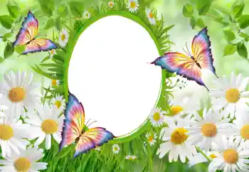 범주에서의 사진 효과 여성 프레임 № 102747 범주에서의 사진 효과 여성 프레임 № 102747