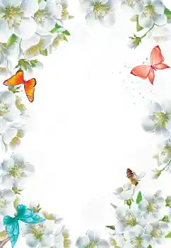 범주에서의 사진 효과 여성 프레임 № 103777 범주에서의 사진 효과 여성 프레임 № 103777