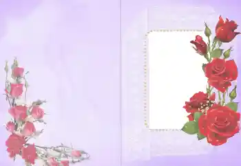 범주에서의 사진 효과 여성 프레임 № 103839