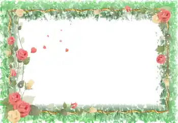 범주에서의 사진 효과 여성 프레임 № 103846