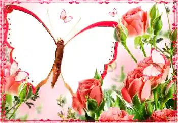 범주에서의 사진 효과 여성 프레임 № 103883