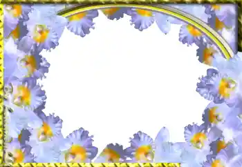 범주에서의 사진 효과 여성 프레임 № 103943