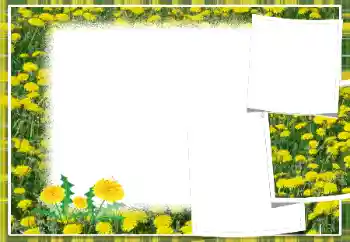 범주에서의 사진 효과 여성 프레임 № 103949