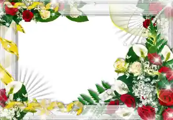 범주에서의 사진 효과 여성 프레임 № 103992