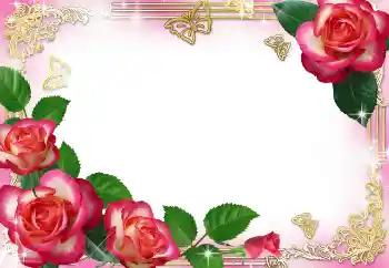 범주에서의 사진 효과 여성 프레임 № 104029