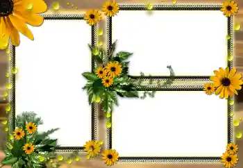 범주에서의 사진 효과 여성 프레임 № 104030