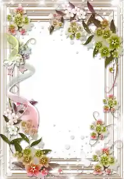 범주에서의 사진 효과 여성 프레임 № 105353