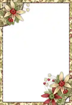 범주에서의 사진 효과 여성 프레임 № 105413