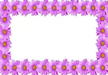 범주에서의 사진 효과 여성 프레임 № 105414