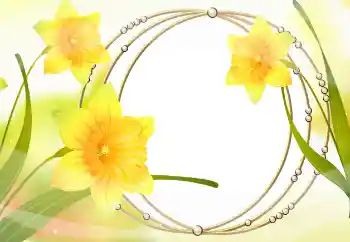 범주에서의 사진 효과 여성 프레임 № 105478