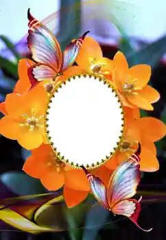 범주에서의 사진 효과 여성 프레임 № 105575