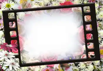 범주에서의 사진 효과 여성 프레임 № 111956