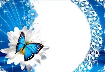 범주에서의 사진 효과 여성 프레임 № 112249