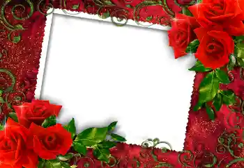 범주에서의 사진 효과 여성 프레임 № 112252 범주에서의 사진 효과 여성 프레임 № 112252