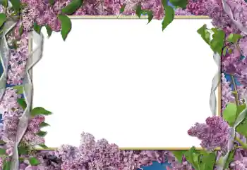 범주에서의 사진 효과 여성 프레임 № 112261 범주에서의 사진 효과 여성 프레임 № 112261