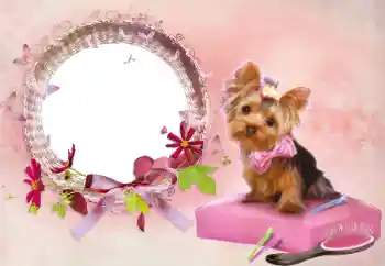 범주에서의 사진 효과 여성 프레임 № 112337 범주에서의 사진 효과 여성 프레임 № 112337