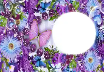 범주에서의 사진 효과 여성 프레임 № 112431 범주에서의 사진 효과 여성 프레임 № 112431