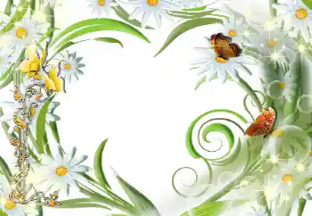 범주에서의 사진 효과 여성 프레임 № 112507