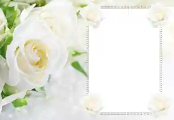 범주에서의 사진 효과 여성 프레임 № 112529