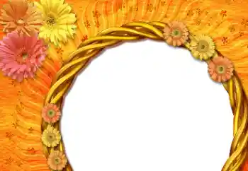 범주에서의 사진 효과 여성 프레임 № 112533