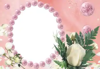 범주에서의 사진 효과 여성 프레임 № 112542