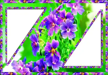 범주에서의 사진 효과 여성 프레임 № 112773