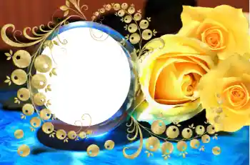 범주에서의 사진 효과 여성 프레임 № 112829