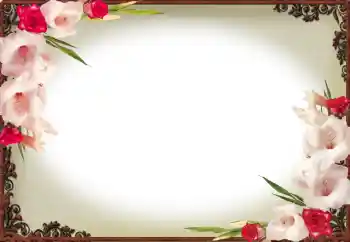 범주에서의 사진 효과 여성 프레임 № 112871