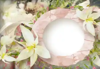 범주에서의 사진 효과 여성 프레임 № 114219