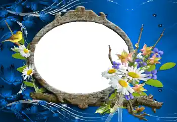 범주에서의 사진 효과 여성 프레임 № 114227