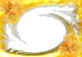 범주에서의 사진 효과 여성 프레임 № 114234